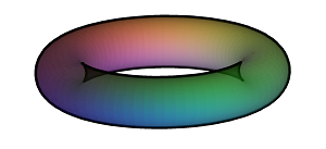 Profile of a torus