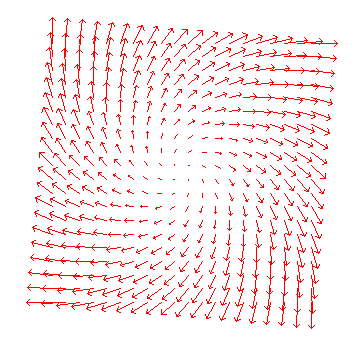 vector field